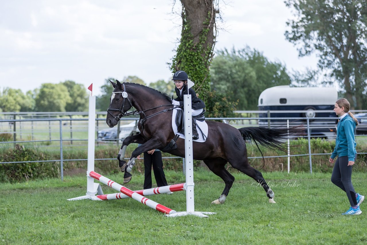 Bild 6 - Pony Akademie Turnier